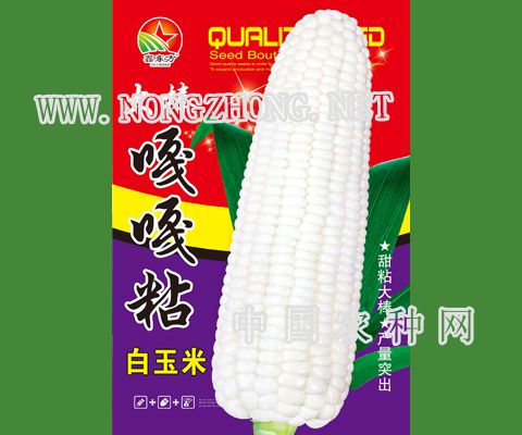 大棒嘎嘎粘白粘糯